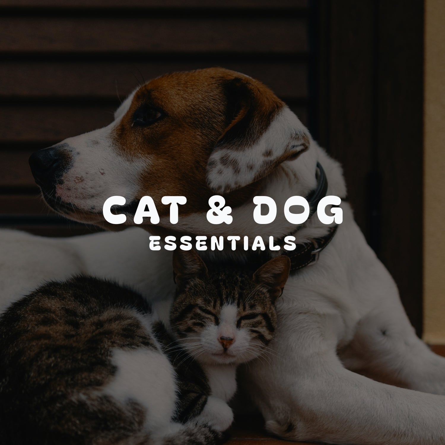 Cat & Dog Essentials
