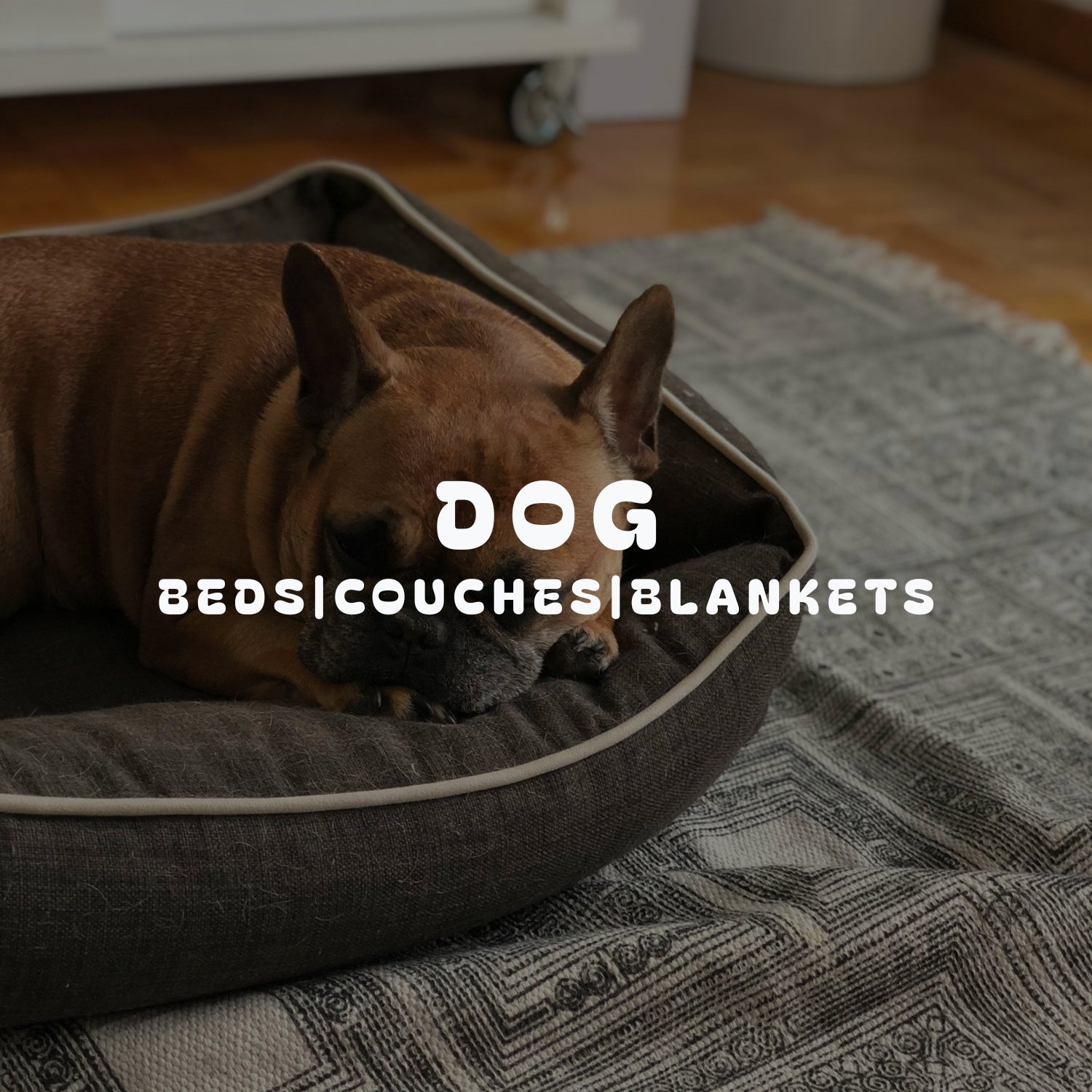 Dog Beds,Couches & Blankets