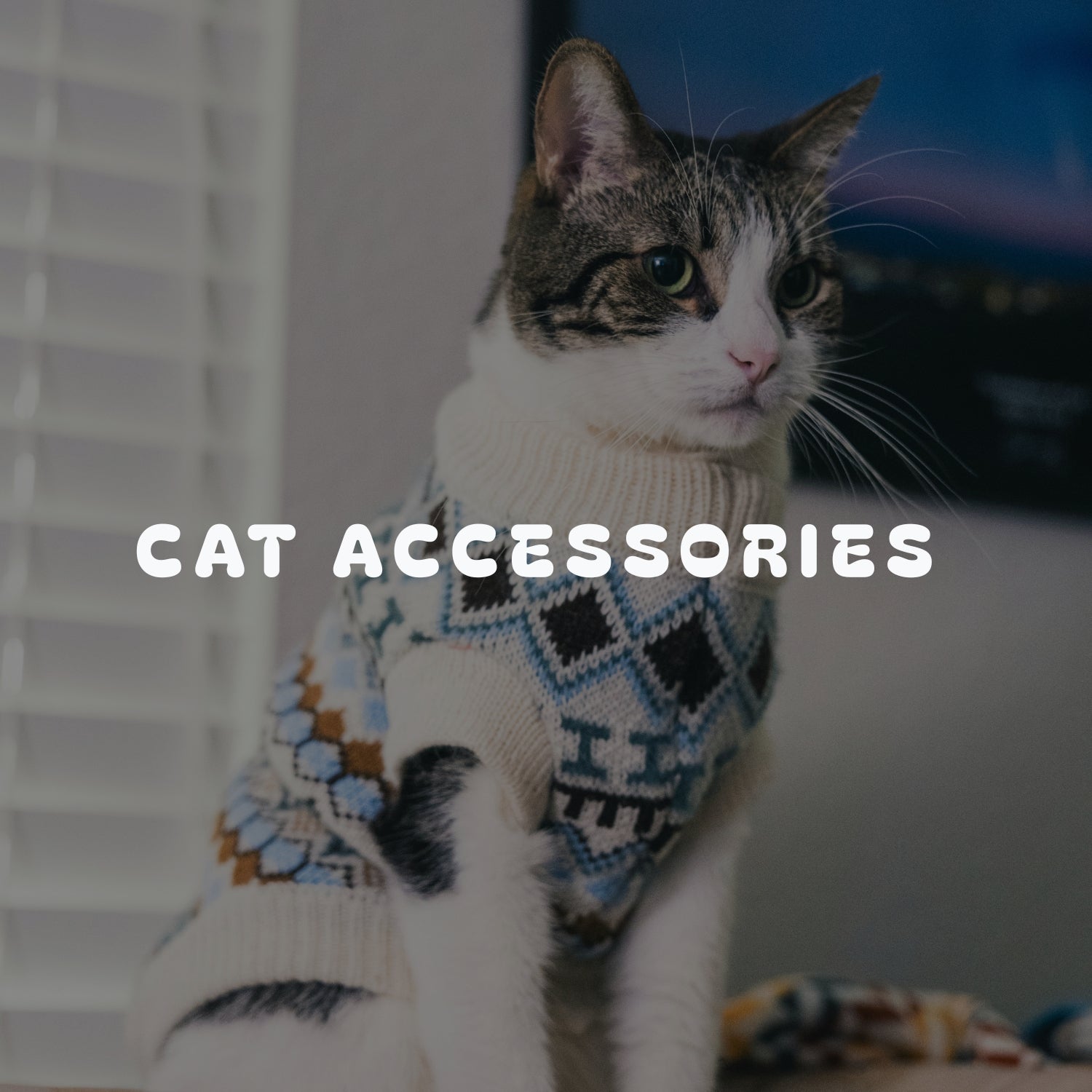 Cat Accessories