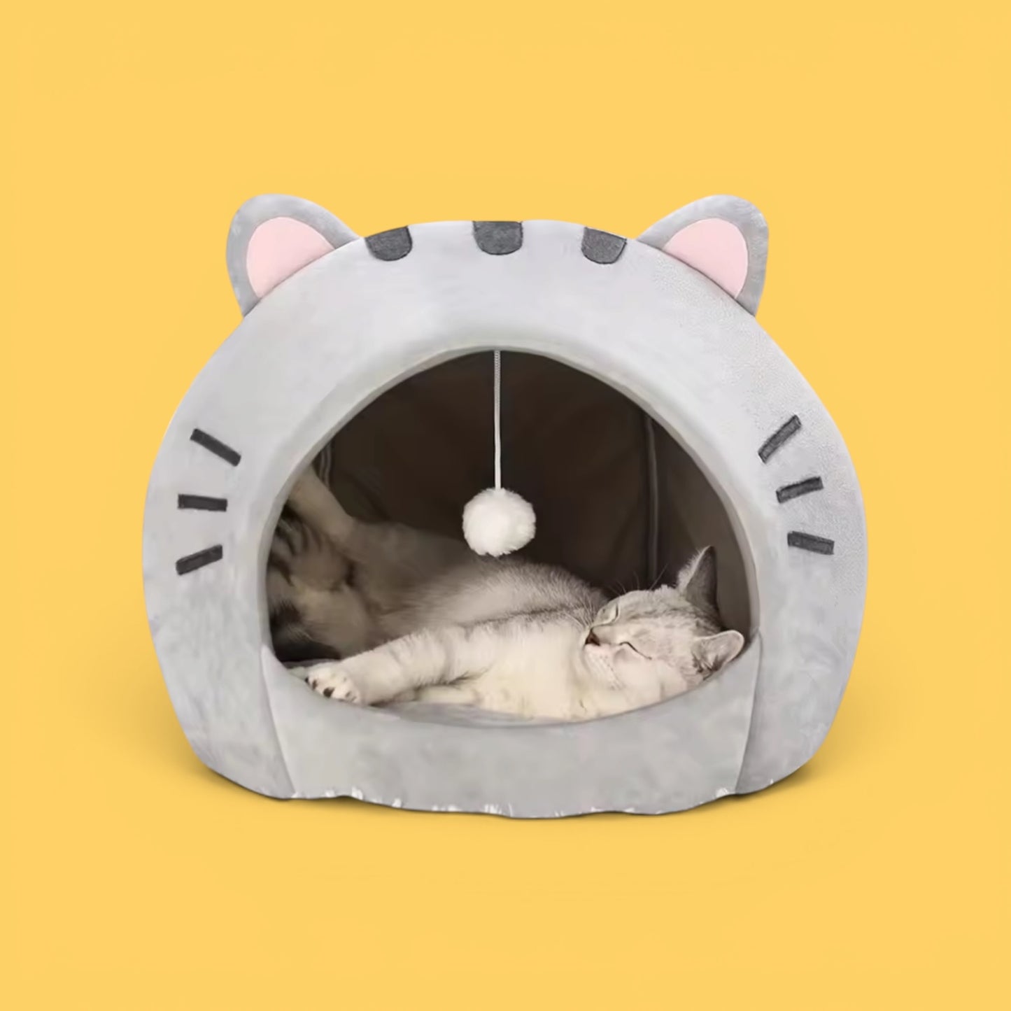 Snoozer